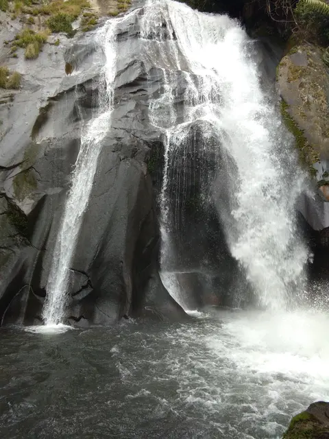 Dingked mălè dòng Dălìtì chub n-dàng